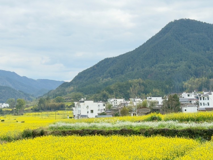 WuYuan
